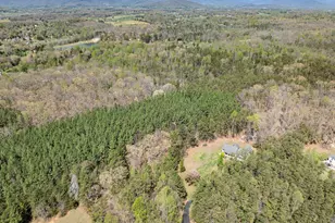 286 Lewis Dr, Ruckersville, VA 22968 - Photo 72