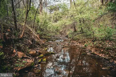 Tbd Ridgeview Drive, Ruckersville, VA 22968 - Photo 22