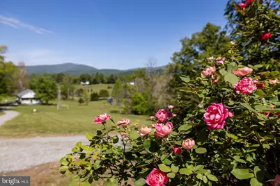 246 Lawsons Farm Circle, Ruckersville, VA 22968 - Photo 84