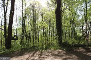 446 Spring Dr, Stanardsville, VA 22973 - Photo 28