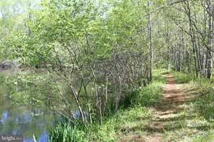 446 Spring Dr, Stanardsville, VA 22973 - Photo 44