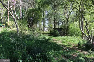 446 Spring Dr, Stanardsville, VA 22973 - Photo 34
