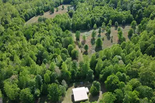 1225 Middle River Rd, Stanardsville, VA 22973 - Photo 78