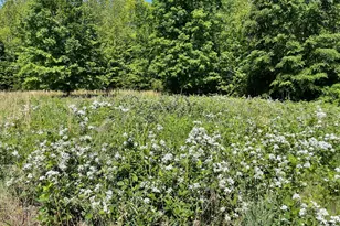 1225 Middle River Rd, Stanardsville, VA 22973 - Photo 84