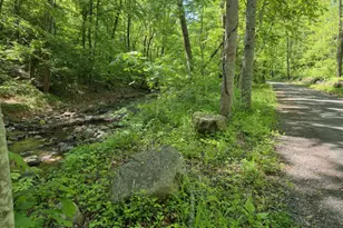 873 Entry Run Rd, Stanardsville, VA 22973 - Photo 14