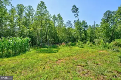 54 Springbranch Trl, Stanardsville, VA 22973 - Photo 48
