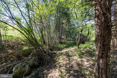 101 Richards Ct, Ruckersville, VA 22968 - Photo 56