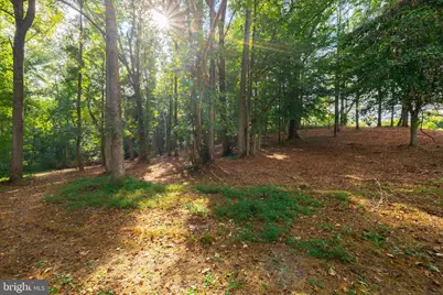 16306 Pleasant Mill Road, Montpelier, VA 23192 - Photo 14