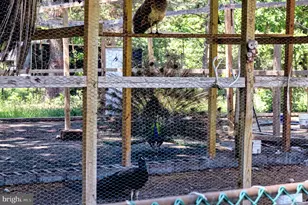 10439 Ashcake Rd, Ashland, VA 23005 - Photo 22