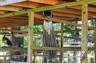 10439 Ashcake Rd, Ashland, VA 23005 - Photo 24