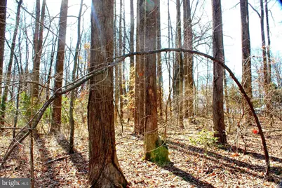 Bambi Court, Beaverdam, VA 23015 - Photo 4