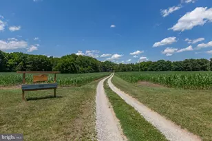 17254 Summer Meadow Rd, Beaverdam, VA 23015 - Photo 4