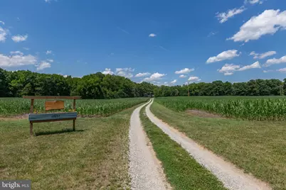 17254 Summer Meadow Road, Beaverdam, VA 23015 - Photo 4