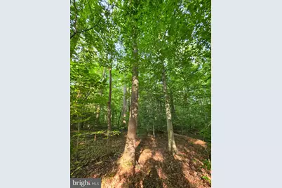 Old Ridge Road, Montpelier, VA 23192 - Photo 6