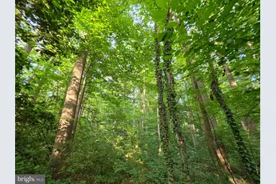 Old Ridge Road, Montpelier, VA 23192 - Photo 10