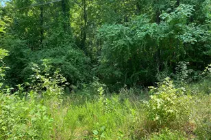 Fairview Dr, King George, VA 22485 - Photo 1