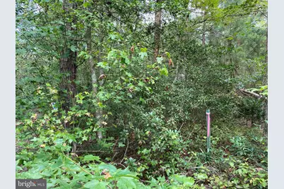 35-81B Old Parsons Road, King George, VA 22485 - Photo 10