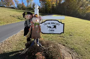 17067 Nanzatico Ln, King George, VA 22485 - Photo 10