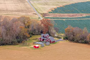 17067 Nanzatico Ln, King George, VA 22485 - Photo 118