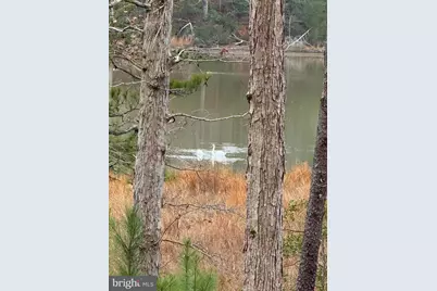 2 Seagrass Court, King George, VA 22485 - Photo 4