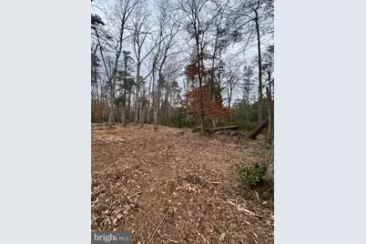 4 Seagrass Court, King George, VA 22485 - Photo 16