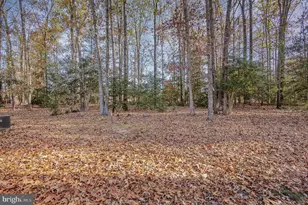 11128 Pine Hill Rd, King George, VA 22485 - Photo 18