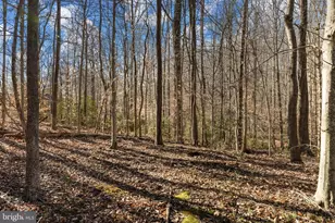 6463 Wheeler Dr, King George, VA 22485 - Photo 44