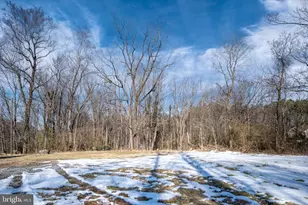 8061 James Madison Pkwy, King George, VA 22485 - Photo 12