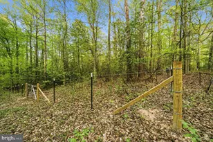 15598 Dickinsons Corner Dr, King George, VA 22485 - Photo 56