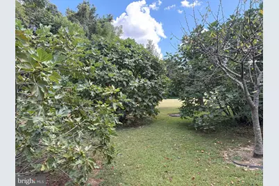 8612 Sandy Beach Lane, King George, VA 22485 - Photo 76