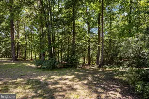 2381 Nancy Ln, King George, VA 22485 - Photo 92