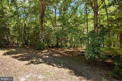 2381 Nancy Lane, King George, VA 22485 - Photo 94