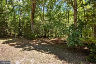 2381 Nancy Ln, King George, VA 22485 - Photo 94