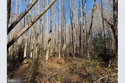 Lot 2 B Turkey Acres Road, King George, VA 22485 - Photo 1