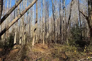 Lot 2 B Turkey Acres Rd, King George, VA 22485 - Photo 1