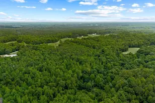 568 Reed Bridge Farm Rd, Bruington, VA 23023 - Photo 36