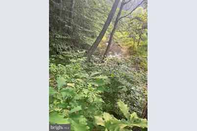 Kangaroo Ct, Mineral, VA 23117 - Photo 4