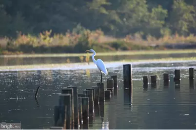 Lot 141 Tatum Dr, Mineral, VA 23117 - Photo 34