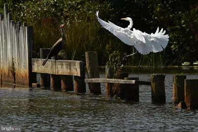 Lot 141 Tatum Dr, Mineral, VA 23117 - Photo 36