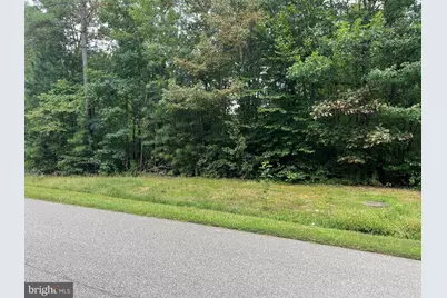 Lot 84 Noah's Landing Drive, Bumpass, VA 23024 - Photo 1