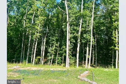 Lot 40 Southern Ridge, Mineral, VA 23117 - Photo 2