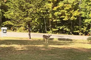 804 Chestnut Ave, Mineral, VA 23117 - Photo 24