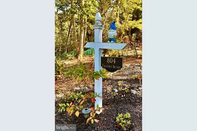 804 Chestnut Avenue, Mineral, VA 23117 - Photo 22