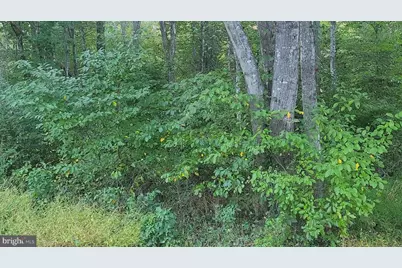 835 North Lake Shore Drive, Louisa, VA 23093 - Photo 4