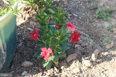 1185 Belle Meade Rd, Bumpass, VA 23024 - Photo 110