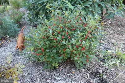 1185 Belle Meade Rd, Bumpass, VA 23024 - Photo 82