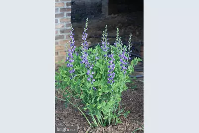 1185 Belle Meade Rd, Bumpass, VA 23024 - Photo 108