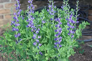 1185 Belle Meade Rd, Bumpass, VA 23024 - Photo 108