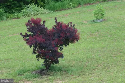 1185 Belle Meade Rd, Bumpass, VA 23024 - Photo 112