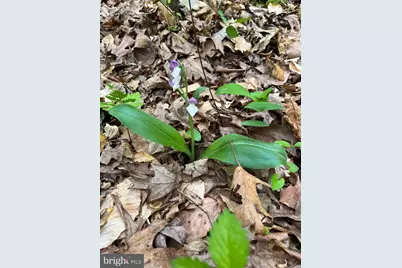 1185 Belle Meade Rd, Bumpass, VA 23024 - Photo 96